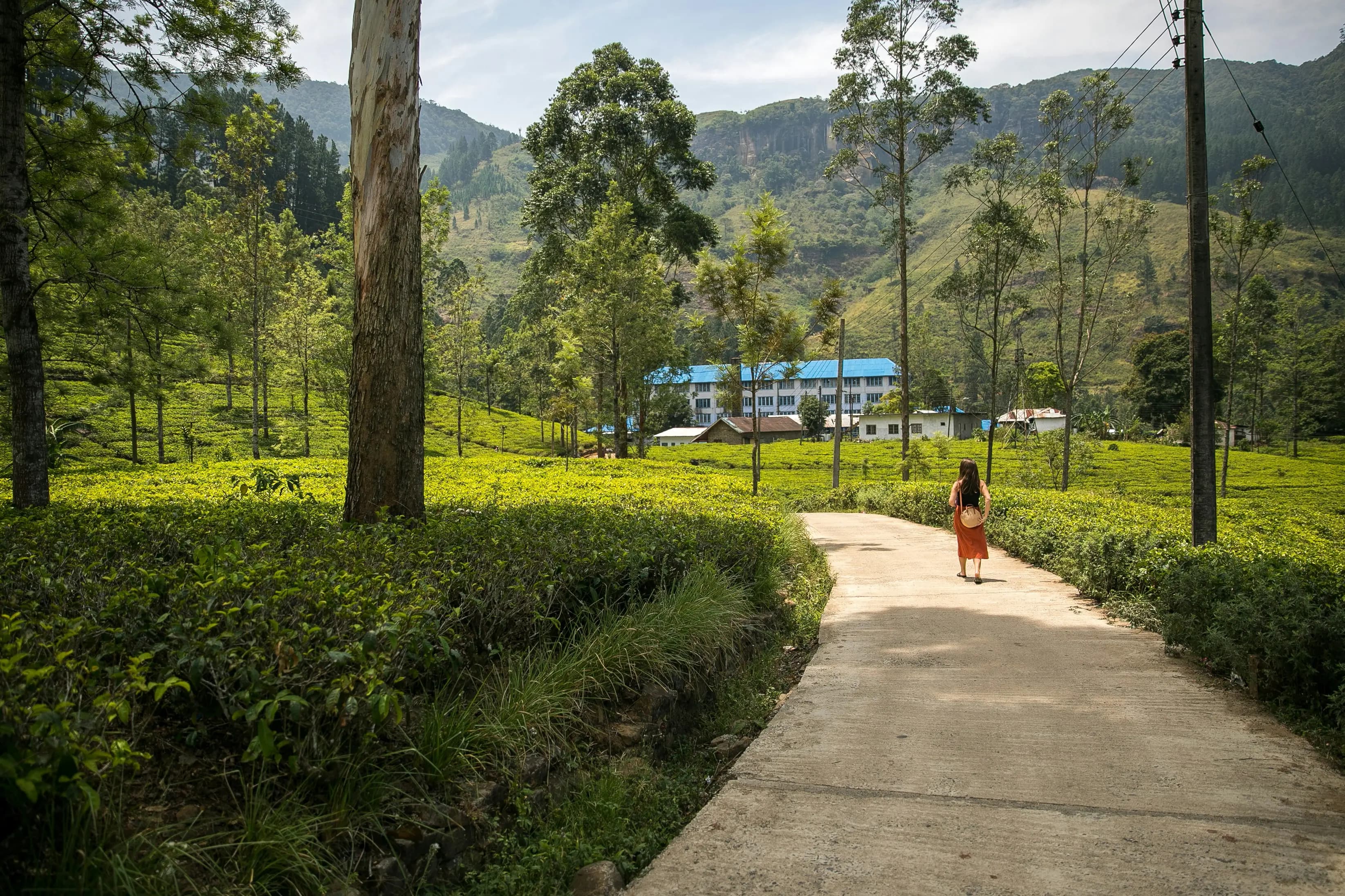 Chauffeur privé en visite des plantations de thé et jardins de Nuwara Eliya au Sri Lanka