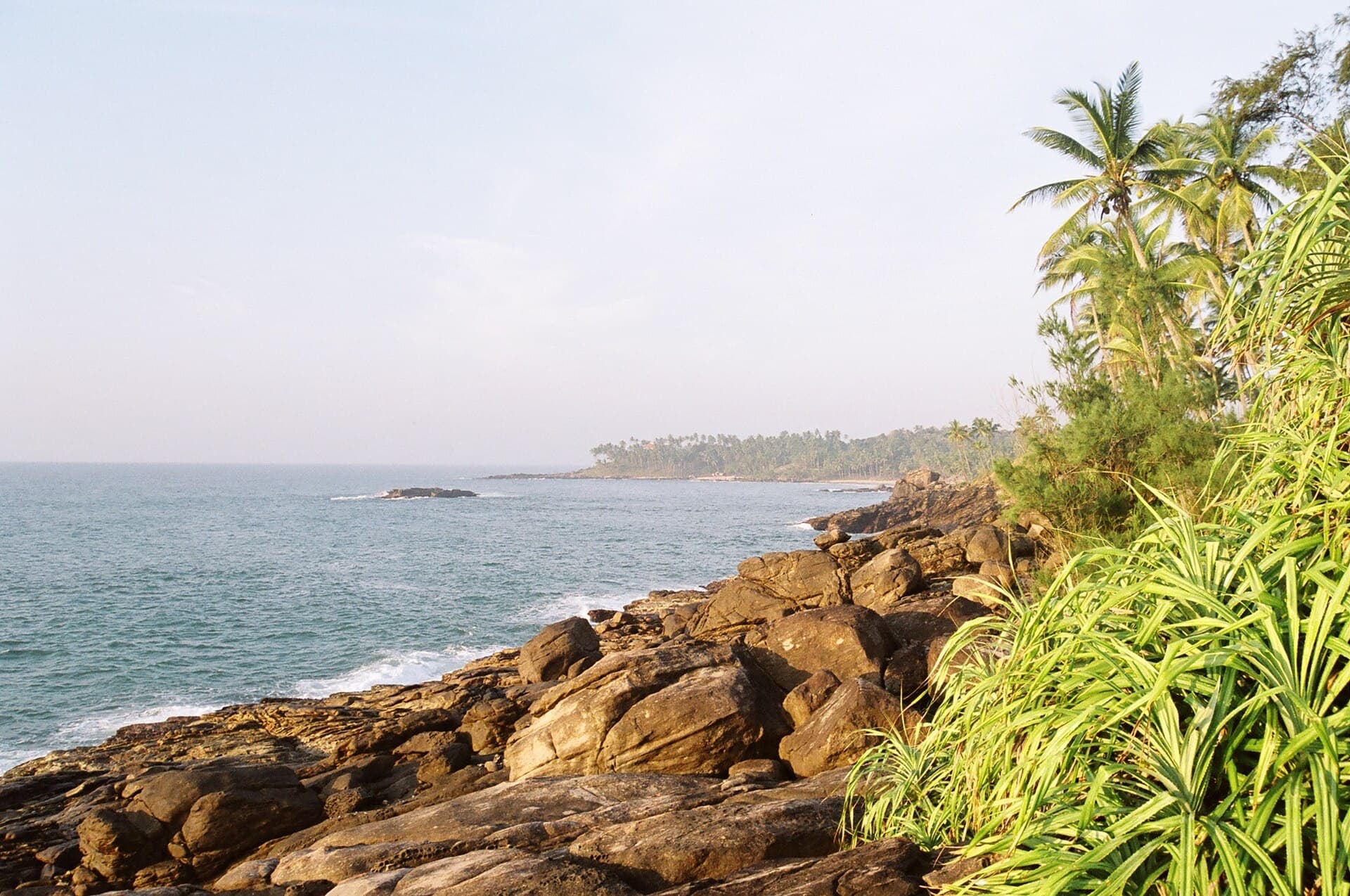 Rocky coast and palm trees at Tangalle, Sri Lanka