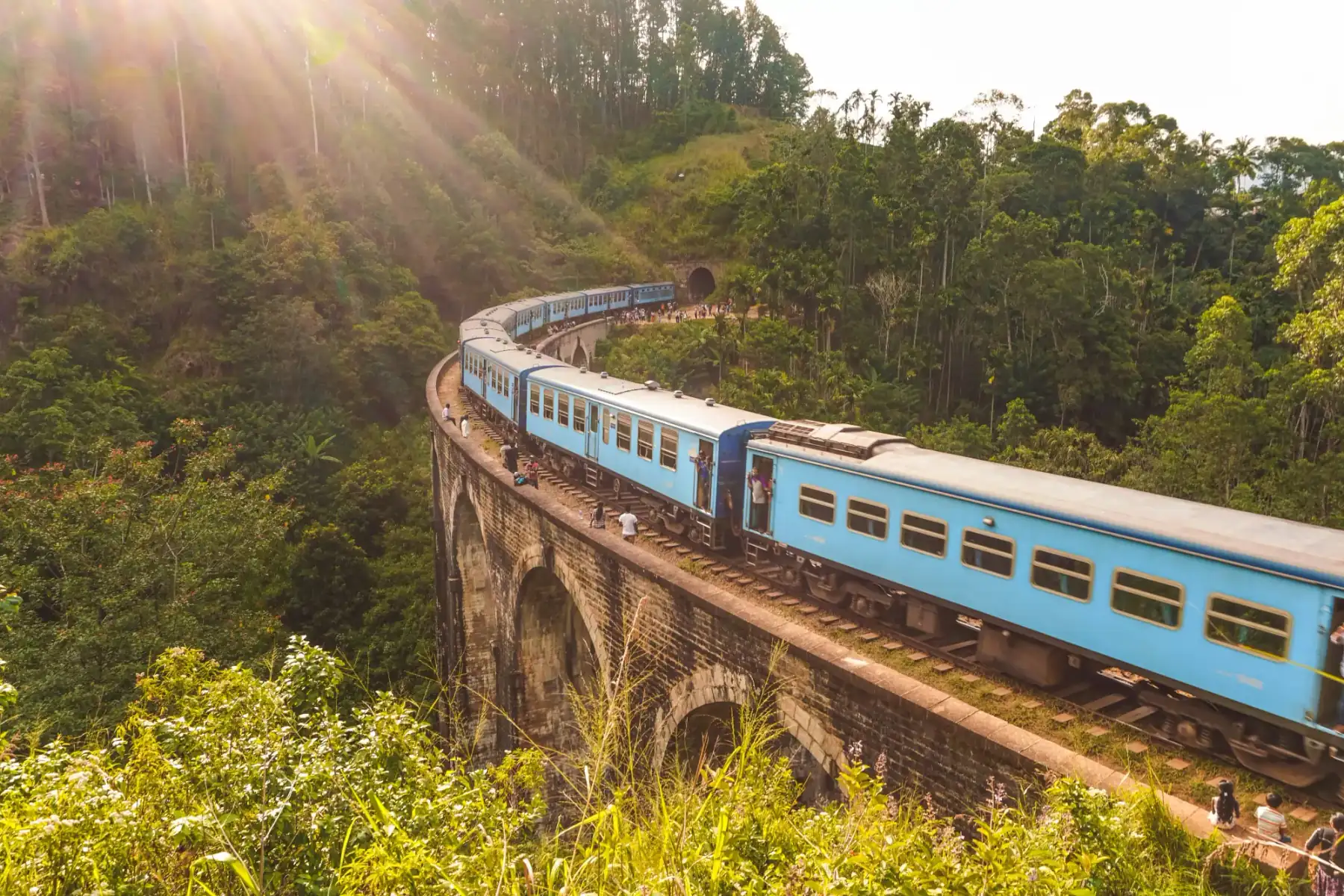 Private driver tour to Ella's scenic hills and tea plantations in Sri Lanka