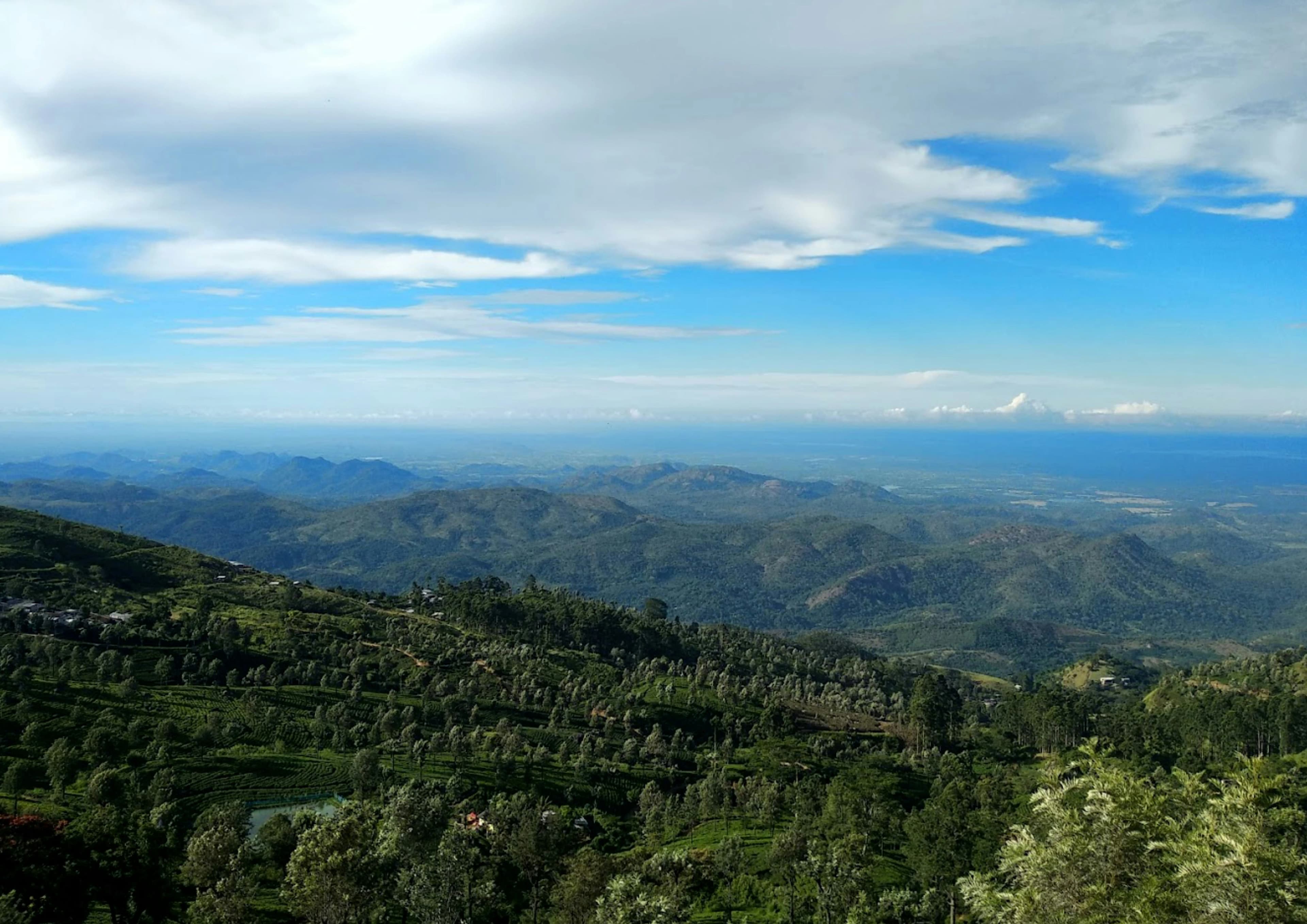 Chauffeur privé en visite des plantations de thé et panoramas de Haputale au Sri Lanka